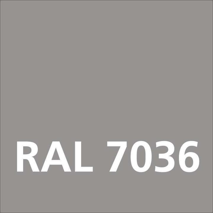Produktbild Dupli-Color Acryllack glänzend RAL 7036 platingrau (Platingrau, 0.40 l)