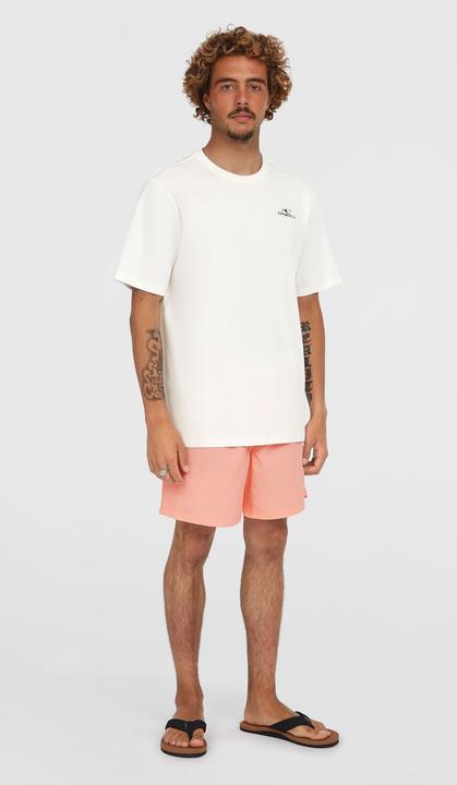 Actual product image O'Neill VERT 16" SWIMSHORTS (M)