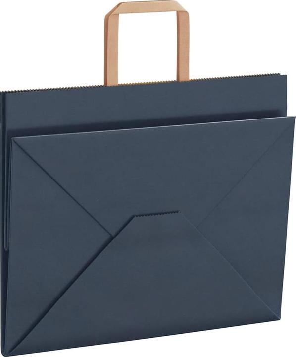 Produktbild vidaXL Papiertragetasche (250x)