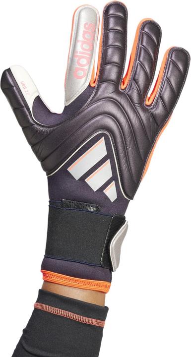 Actual product image Adidas COPA GL PRO AURBLA/PLAMET/TURBO Grösse: 8 (8)