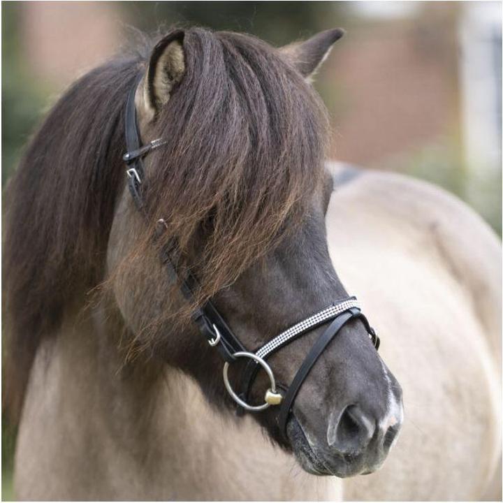 Produktbild Kavalkade Hvítur Aradis