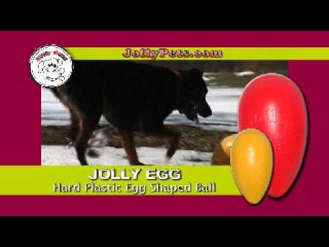 Image du produit Jolly Egg Geel Hondenspeelgoed (oeufs) (Jouet à balle chien)