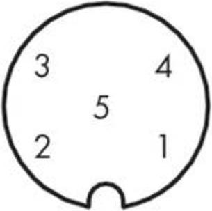 Produktbild Wago Sensor-/Aktor-Datensteckverbin (10 m)
