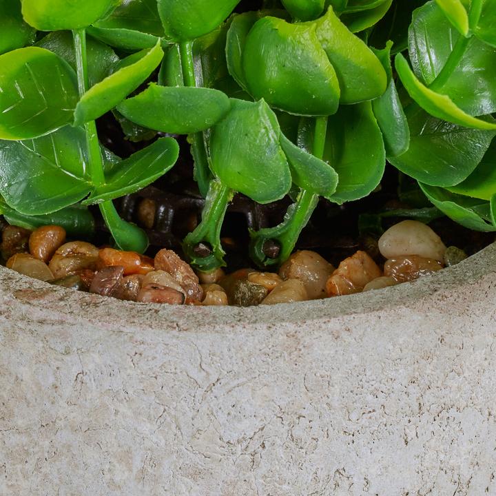 Image du produit Relaxdays 3x plante artificielle (23 cm)