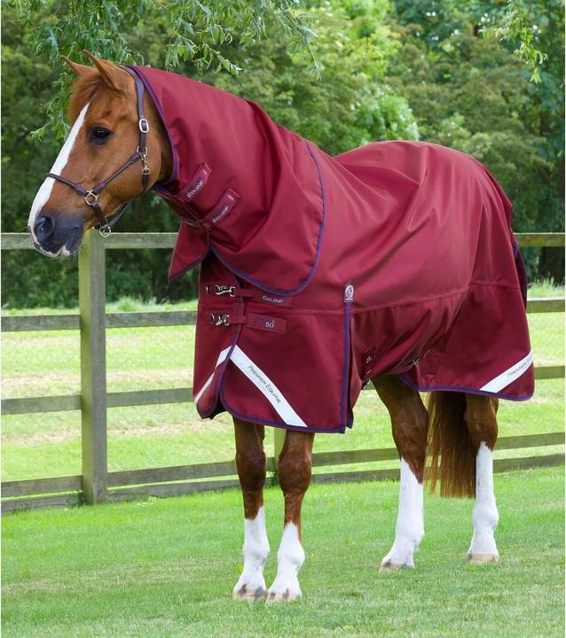 Produktbild Premier Equine outdoor-decke mit halsteil titan 50 g (206 cm)