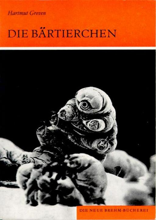 Produktbild Bärtierchen (Deutsch, 2013)