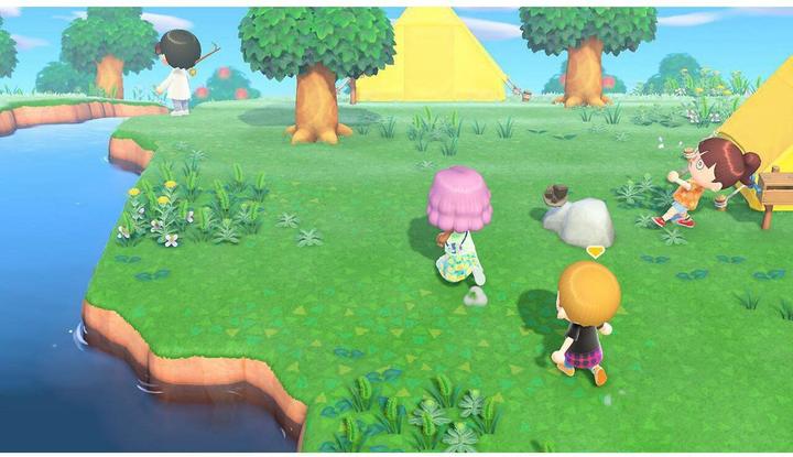 Actual product image Nintendo Animal Crossing: New Horizons (Switch, Multilingual)