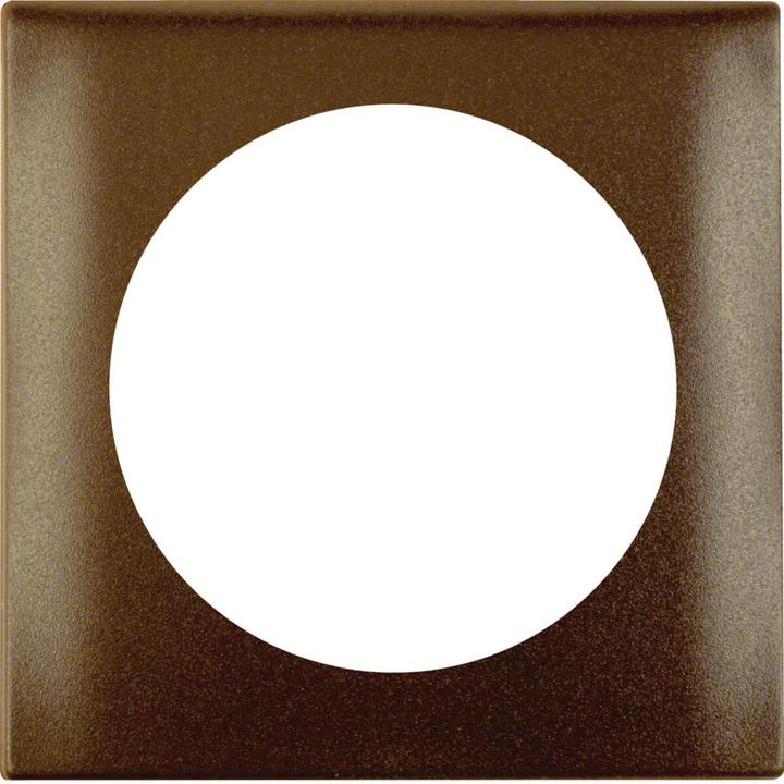 Actual product image Berker Frame