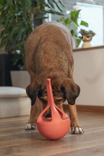 Image du produit Beeztees Jouet en caoutchouc pour chien Wiggle-X (Jouet à mâcher pour chien)
