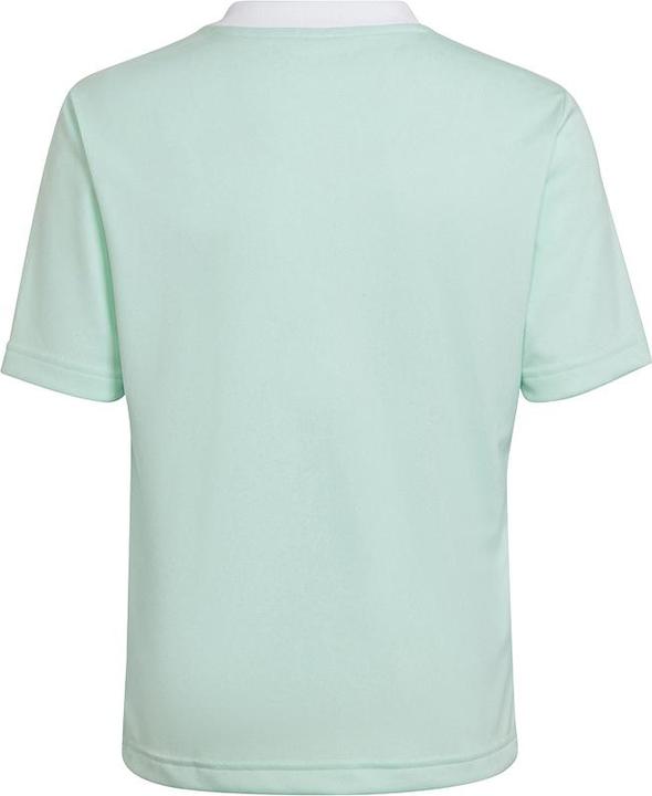 Produktbild adidas Entrada 22 Trikot (116)