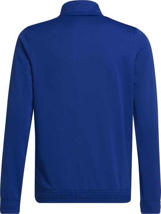 Actual product image adidas Entrada 22 training jacket kids (176)