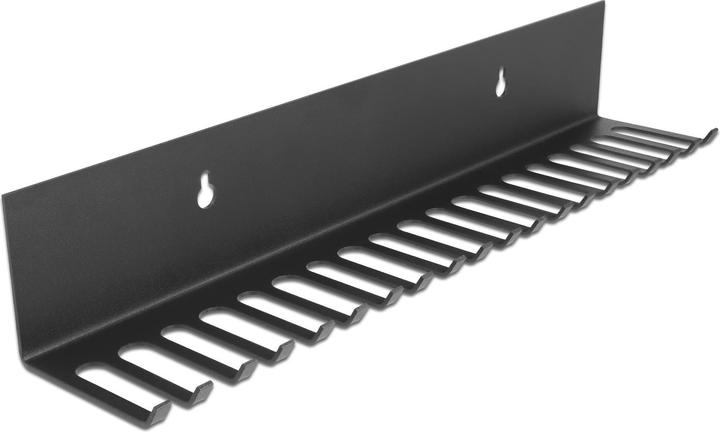 Image du produit Delock Porte-câbles 318 x 65 mm pour montage mural noir (0.32 m)