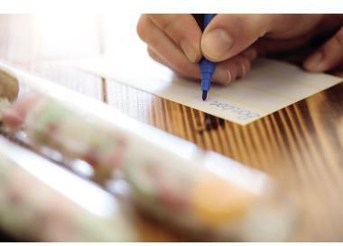 Produktbild Avery Universal-Etiketten