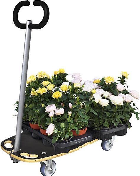 Image du produit Wagner System Transporteur Star (300 kg)