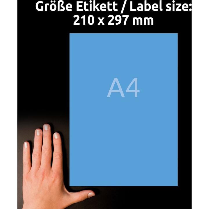 Immagine prodotto Avery Etichette organizzative