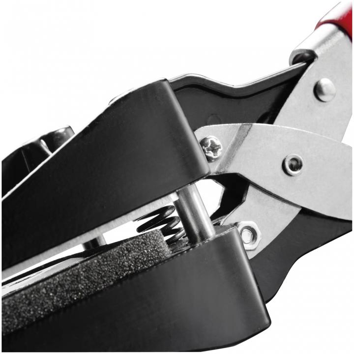 Image du produit Walimex Perforation de la photo de passeport (Ustensiles de laboratoire)