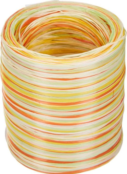 Produktbild Präsent Bast Multi (1x)