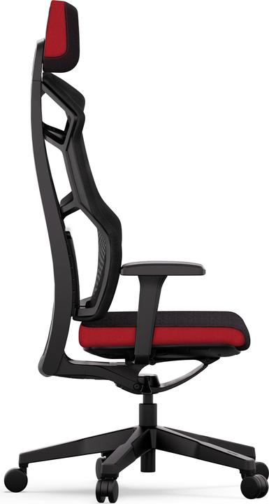 Actual product image RECARO Aer