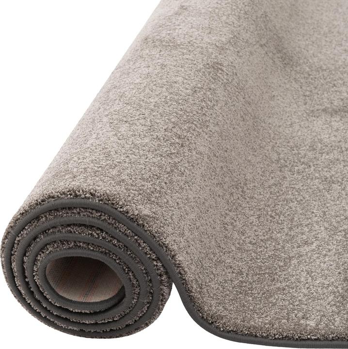 Produktbild Snapstyle Hochflor Luxus Velours Teppich Touch (200 x 200 cm)
