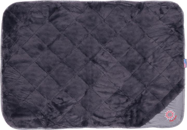 Actual product image Thermo Switch Samos (Dog)