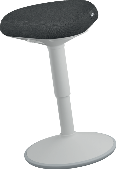 Image du produit Leitz Ergo Active
