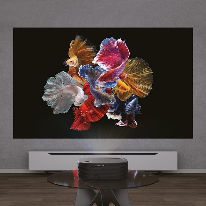 Produktbild Manta PMA502A24 MultiVision PRO SMART TV projector (Full HD, 800 lm)