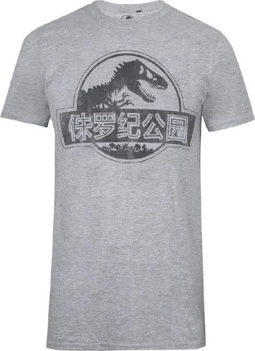 Actual product image Jurassic Park Tshirt (S)