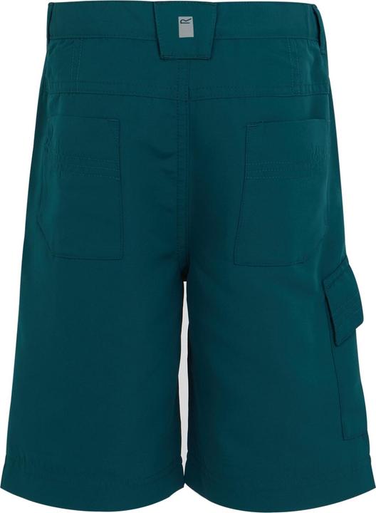 Actual product image Regatta Childrens/Kids Sorcer II Shorts (140)