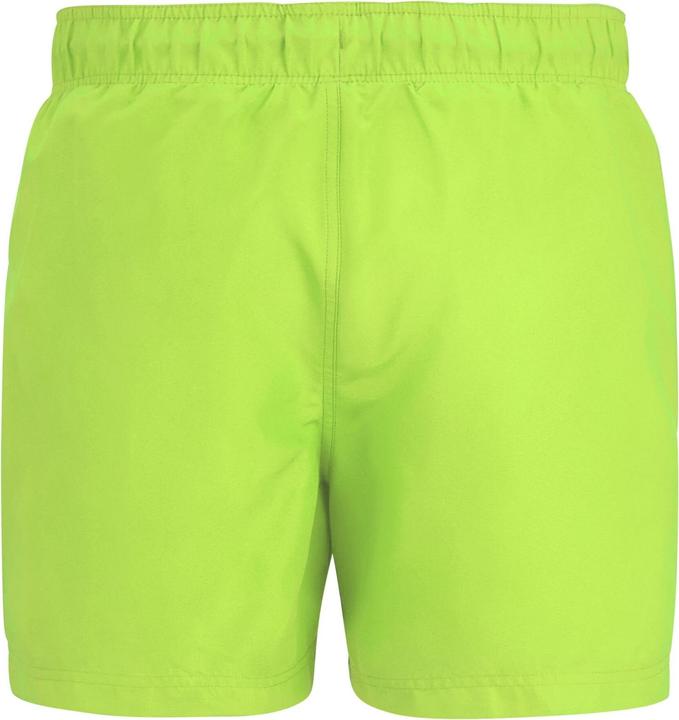 Produktbild Regatta Mawson II Kurze Hose (XXL)
