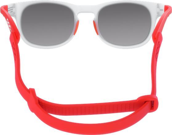 Actual product image Poc Evolve sunglasses
