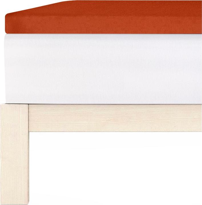 Actual product image Living Home Topper Elastic Jersey (140-160 x 200 cm)