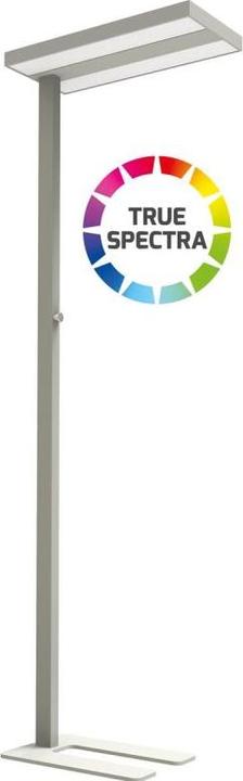 Produktbild Dotlux LED-Stehleuchte (5500 lm)