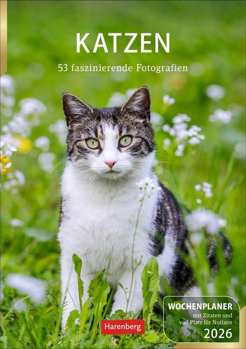 Produktbild Harenberg Katzen Wochenplaner 2026 - 53 faszinierende Fotografien (Harter Einband, Deutsch)