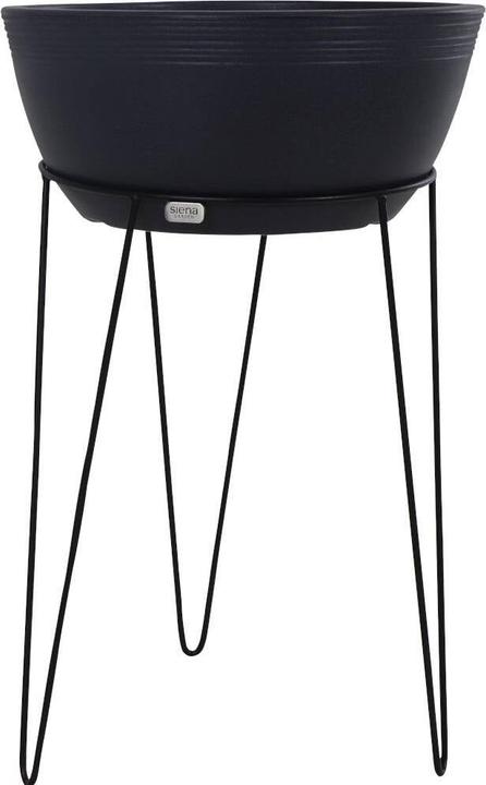 Immagine prodotto Siena Garden Supporto per piante Riga 31 cm