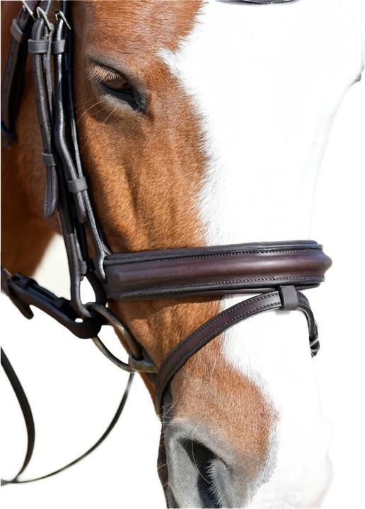 Image du produit Collegiate - Bride pour chevaux COMFITEC