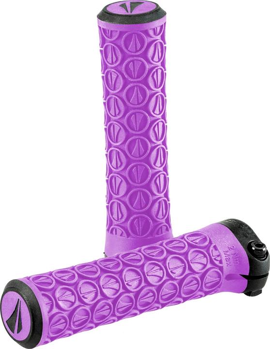 Viola