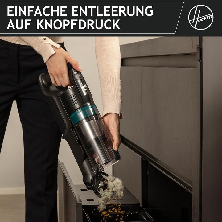 Actual product image Hoover HF1P10P 011