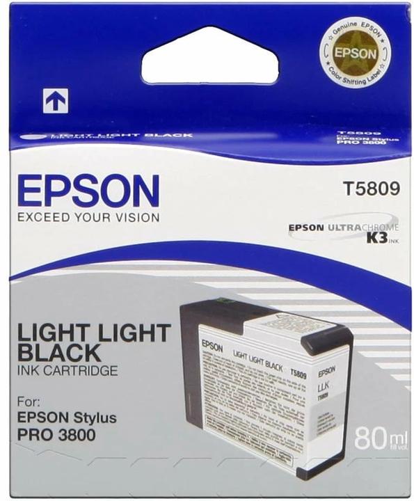 Image du produit Epson T5809 (CF, GY)