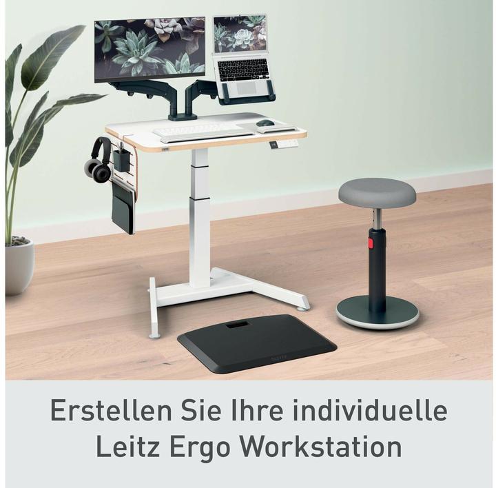 Actual product image Leitz Schreibtischorganizer Ergo