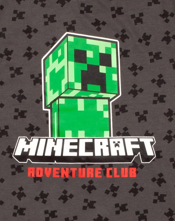 Actual product image Minecraft T-shirt printed all over (134)