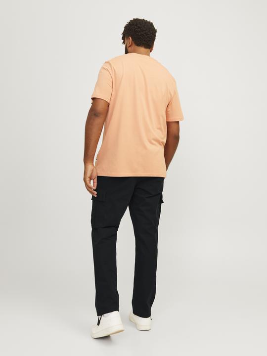 Produktbild Jack & Jones Jpstkane Jjbarkley Cargo Pant Noos Pls (W42/L34)