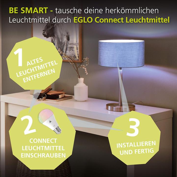 Actual product image EGLO Connect remote control