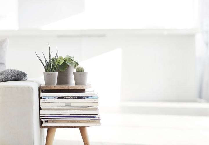 Actual product image Ecopots Amsterdam Mini (8 cm)