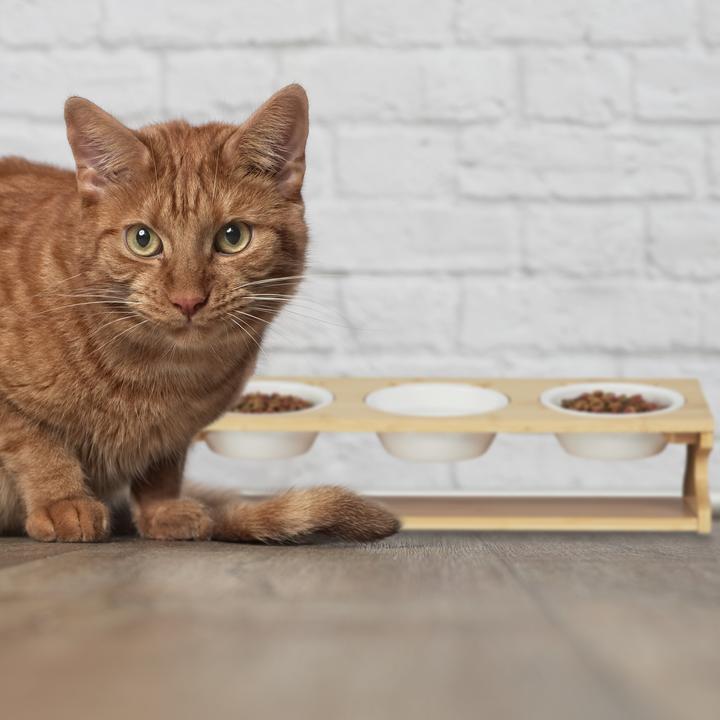 Actual product image Relaxdays Cat feeding station (0.40 l)