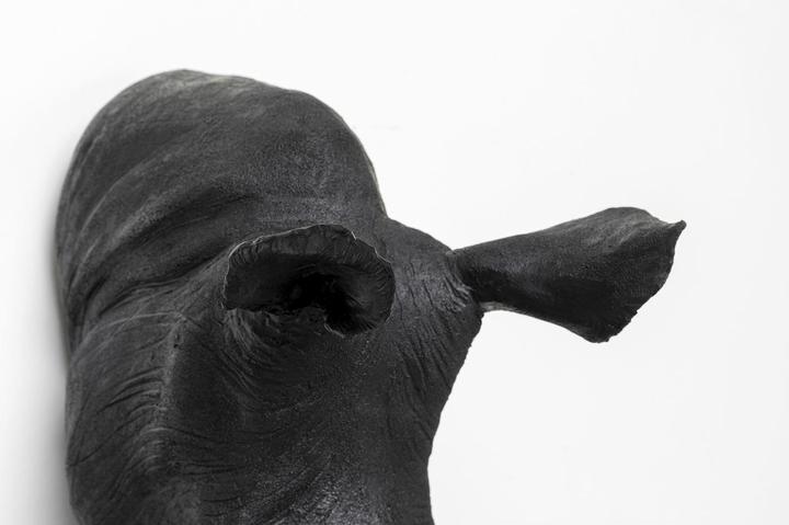Actual product image Kare Design Deco Object Rhino Head Antique Black