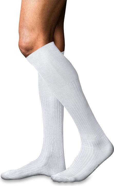Produktbild Falke No. 10 KH (41 - 42)