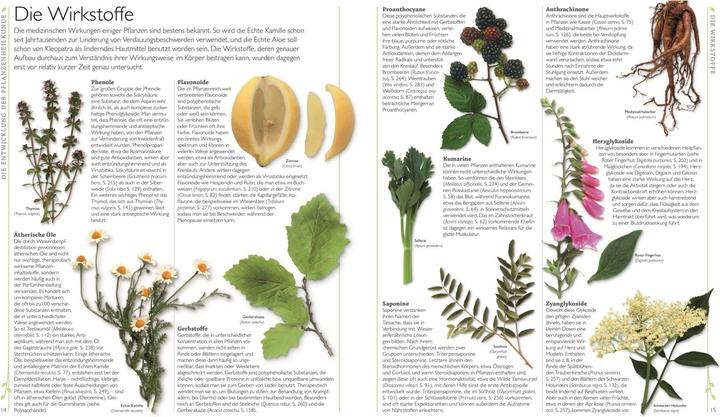 Produktbild Das grosse Lexikon der Heilpflanzen (Deutsch, Andrew Chevallier, 2017)