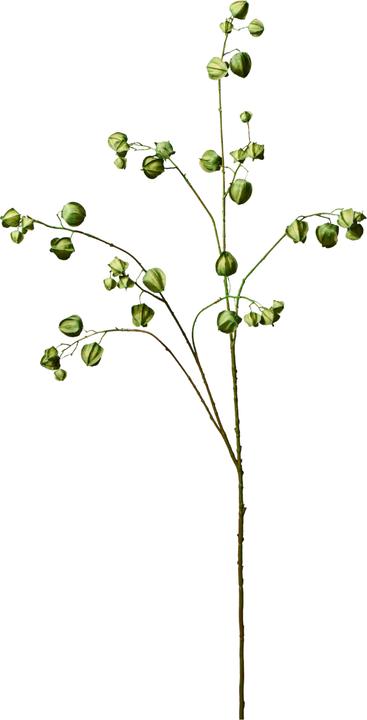 Silk-Ka Lampionblumen Zweig 123 cm 1 Stk. - Kunstzweig
