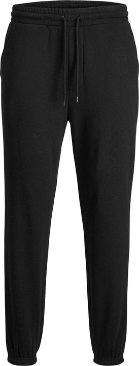 Actual product image Jack & Jones Brink (L)
