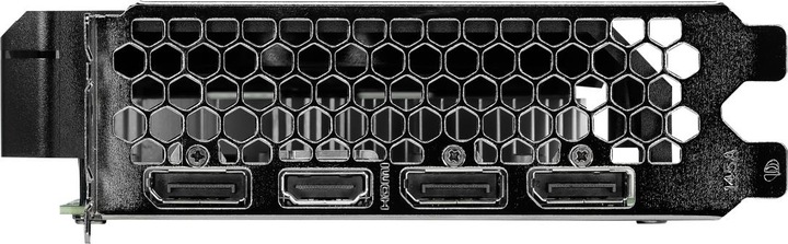 Produktbild Gainward GeForce RTX 4060 Pegasus (8 GB)